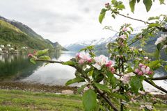Prosjektet ser òg på samanhengen mellom jord, blomstrande vegetasjon og vatn i dei same områda. -Blomsterflugene lever på blomstrande vegetasjon, men nokon har òg livsstadium i vatn. Difor heng alle desse miljøa saman. Flugene kan bli eksponerte for plantevernmiddel både gjennom vatn, vegetasjon og jord, fortel Roger Holten, forskar ved NIBIO og leiar for prosjektet.