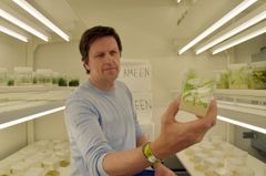 NIBIO-forsker Tage Thorstensen sier EU-vedtaket er avgjørende for at Norge skal kunne ta i bruk innovativ genredigeringsteknologi for å kunne utvikle mer effektive og bærekraftige planter i nær fremtid.