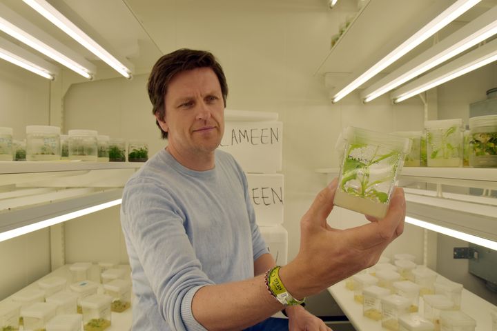 NIBIO-forsker Tage Thorstensen sier EU-vedtaket er avgjørende for at Norge skal kunne ta i bruk innovativ genredigeringsteknologi for å kunne utvikle mer effektive og bærekraftige planter i nær fremtid.