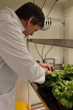 Med ny regulering av genredigerte planter tror Tage Thorstensen vi fremover vil se mer hardføre planter, med bedre sykdomsresistens, høyere næringsinnhold og mer effektive egenskaper ved hjelp av genredigering.