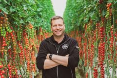 Jan Terje Vigenes er dagleg leiar av Lauvsnes Gartneri, som lidde store økonomiske tap då dei fekk smitte av ein karanteneskadegjerar i tomatane.