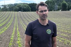 En bonde står foran en åker med grønnsaksplanter og trær i bakgrunnen.