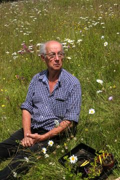 En eldre mann sitter i en blomstereng.