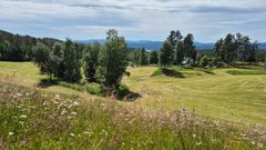 Alt tekst: Landskap med gressmarker, blomster og trær ved Bolkesjø Gaard, under en skyet himmel.