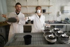NIBIO-forskerne Pierre-Adrien Rivier og Eva Brod har undersøkt åtte ikke-kalkbehandlede og fire kalkbehandlede avløpsslamprodukter i et veksthusforsøk med bygg.