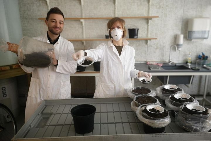 NIBIO-forskerne Pierre-Adrien Rivier og Eva Brod har undersøkt åtte ikke-kalkbehandlede og fire kalkbehandlede avløpsslamprodukter i et veksthusforsøk med bygg.