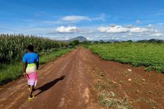 For mange bønder i Malawi, særlig i avsidesliggende områder, kan det være vanskelig å få tilgang til oppdatert og pålitelig informasjon om plantehelse.