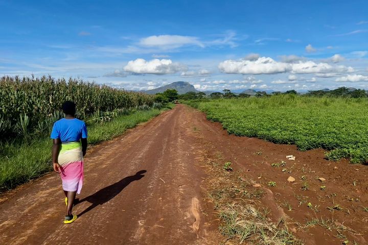 For mange bønder i Malawi, særlig i avsidesliggende områder, kan det være vanskelig å få tilgang til oppdatert og pålitelig informasjon om plantehelse.