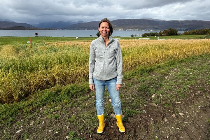 Marianne Vileid Uleberg og NIBIO inviterer til Arktisk landbruksseminar i Tromsø i oktober.