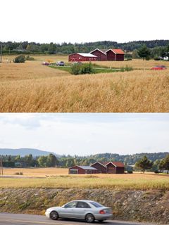 Tusenvis av dekar jordbruksareal har gått tapt på grunn av vegutbygging. Her frå E16 i Sør-Odal i Hedmark.