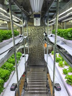 I vertikalt landbruk dyrkes planter innendørs i flere lag, ofte i store reolsystemer med kunstig belysning. Temperatur, lys, vann, CO2 og næring reguleres gjennom hele vekstperioden. Dermed kan plantene dyrkes uavhengig av vær og årstid.