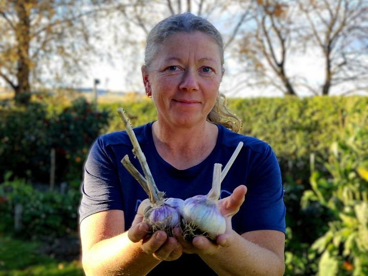 NIBIO-forsker Pia Heltoft Thomsen er godt fornøyd med resultatene av årets hvitløksforsøk på Apelsvoll.