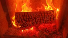 Treslag som furu og gran er lettere, og gir noe mindre varme. Og selv om gråor er det letteste treslaget, så egner det seg utmerket til fyring.