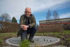 Bjørn Arild Hatteland med brunskogsnegl (Arion vulgaris). Brunskogsneglen, tidlegare kalla iberiaskogsnegl eller brunsnegl, er ein framand art i norsk fauna. Førebels er arten først og fremst eit skadedyr i private hagar, men i enkelte kystområde finst han i store mengder. Han er òg rapportert frå mindre grasareal og som skadeorganisme hos enkelte grønsaks- og jordbærprodusentar.