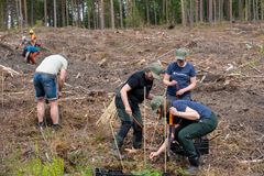 Inntil for rundt 2 500 år siden var klimaet i Norge både varmere og tørrere enn i dag. Da trivdes eika godt og var langt mer utbredt enn den er nå. I vikingtiden var eik vanlig helt opp til Mjøsa og langs kysten nord til Nordmøre, og trevirket var blant annet ettertraktet til skipsbygging.