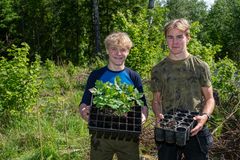 På et jorde rett nord for Sarpsborg i Østfold er Odin Remme-Lauten og Mio Oliver Barth-Hansen i gang med å plante ut eiketrær. De er elever ved naturbrukslinja på Kalnes videregående skole. I alt skal 1200 små eikeplanter i jorda i kommunene Sarpsborg og Indre Østfold.