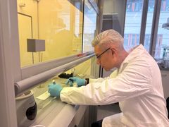 Seniorforsker pollen Nestor González Roldán varsler om raskt økende nivåer av bjørkepollen