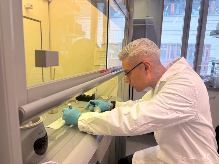 Seniorforsker pollen Nestor González Roldán varsler om raskt økende nivåer av bjørkepollen