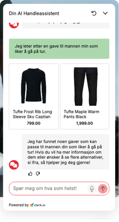 Brukeren spør AI-en om forslag til gaveideer.