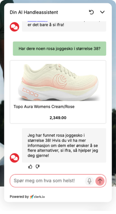 Brukeren spør AI-chatboten om en sko i en bestemt farge og størrelse.