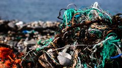 Rydderne i Rydd i Tide finner mye marint avfall fra fiskeunderstrien langs norskekysten.