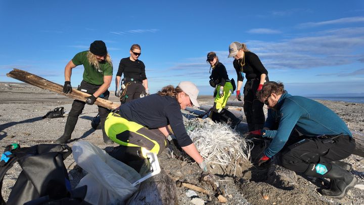 Kystrenovatørene har kun et kort tidsvindu å rydde på i Svalbard. Her fra årets ryddetokt.
