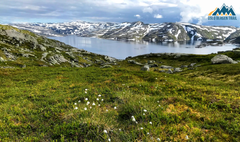 Dette flotte terrenget møter deltagerne etter å ha løpt 400 kilometer. Sør for Voss går løypa over Gråsida og runder Torfinnsvatnet.