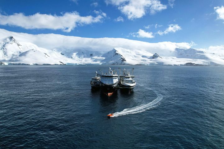 Tre av seks fartøy i  Aker QRILL Company sin flåte.