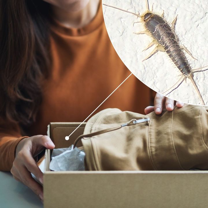 En person pakker opp en eske med klær. Et bildeinnfelt viser et skjeggkre.