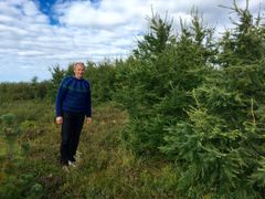 Björn Halldórsson i frodig granskog som ble plantet for omlag 15 år siden