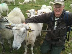 Turgåere som hilser på beitedyr og varsler bønder om skade eller sykdom, er en ressurs for beitedriften