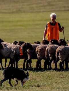Slik ser det ut fra tidligere NM