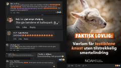 Skjermdump tatt 2. juli 21:11