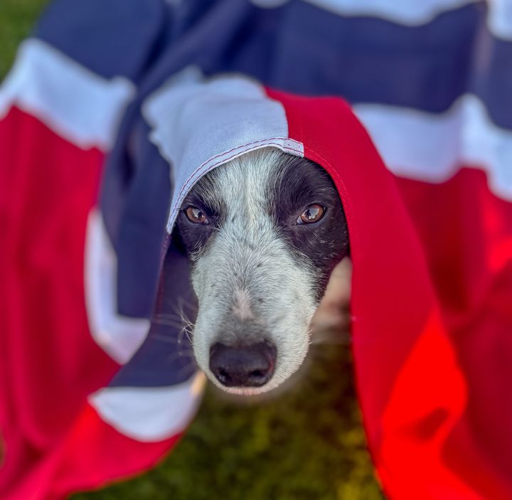 Landslaget er klare for å representere Norge under VM i Skottland
