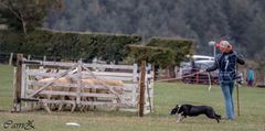 Young Handler Anna og hunden Piaf