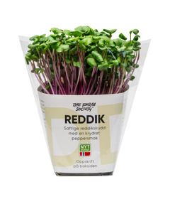 Reddikskudd