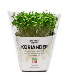 Koriander med spiselige frø forside