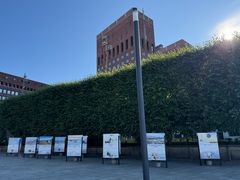 Plakater på rekke foran en høy hekk med en rød teglsteinsbygning i bakgrunnen.