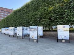 Utendørs utstilling med informasjonsplakater på rekke foran en stor hekk.