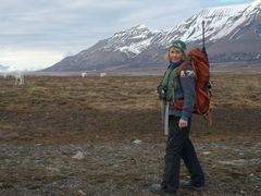 KLIMAVINNER Svalbardreinen regnes som en klimavinner fordi varmere temperaturer gir mer mat og en lengre beitesesong. Bestanden har økt kraftig de siste tiårene, men forskerne vet foreløpig ikke om den økende jakten fra isbjørn påvirker reinsdyrene. På bildet er forsker Åshild Ønvik Pedersen på reinsdyrfeltarbeid i  Adventdalen. Foto: Ann Kristin Balto / Norsk Polarinstitutt