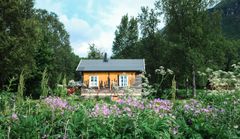 Lite gult hus, Elvebakken i Troms, med blomster eng i forgrunnen