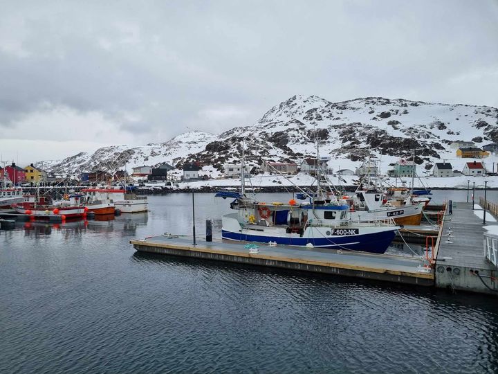 Kamøyvær fiskerihavn åpnet i 2024 sitt flytebryggeanlegg som var delvis finansiert gjennom tilskuddsordningen for kommunale fiskerihavntiltak.