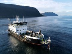 Montering av den ny typen HIB ved innseglinga til Ålesund tidlegare i haust. Foto: Lill Haugen / Kystverket