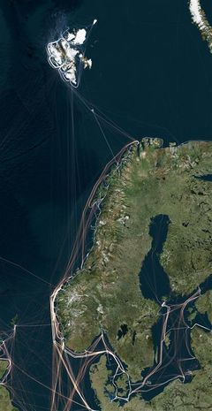 AIS-track av cruise i norske farvann 2025 samlet inkludert Svalbard