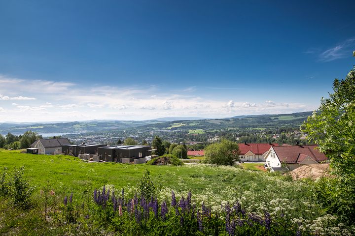 Bilde av landskap med hus og en småby i horisonten.