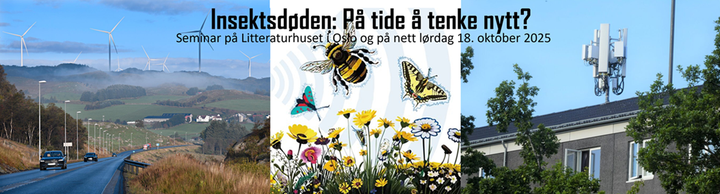 Energiforbruk og utbredelsen av trådløs teknologi øker raskt – og forskere spør nå hvordan dette påvirker naturen.
