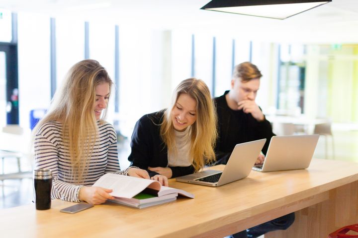 FINNs ferske undersøkelse blant studenter viser at de ikke frykter at kunstig intelligens skal overta jobbene deres.