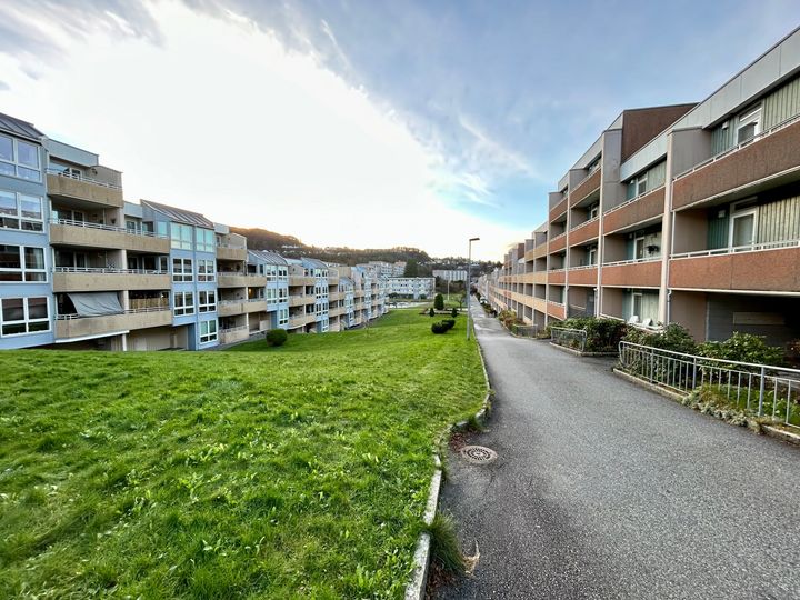 Vestre Sælemyr borettslag ligger i Fyllingsdalen utenfor Bergen, og består av syv lavblokker med i alt 361 leiligheter.
