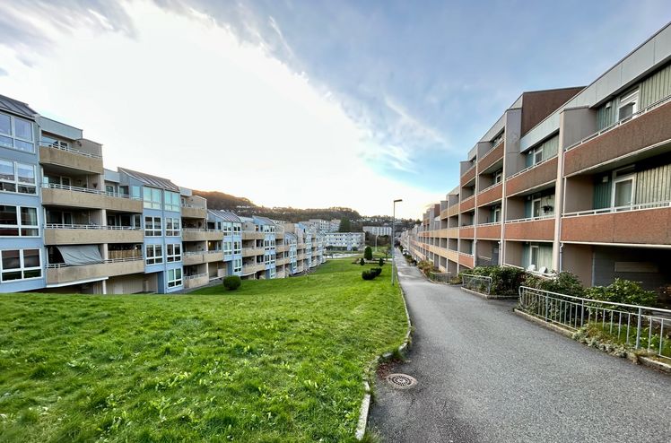 Vestre Sælemyr borettslag ligger i Fyllingsdalen utenfor Bergen, og består av syv lavblokker med i alt 361 leiligheter.
