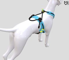 3D-designeren på nettsiden som lar kundene designe sin egen sele